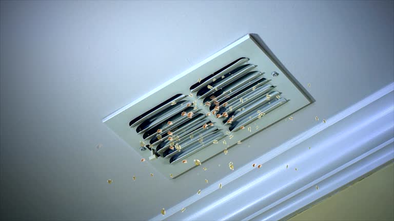Best HVAC Maintenance and Cleaning  in Whitmore Lake, MI