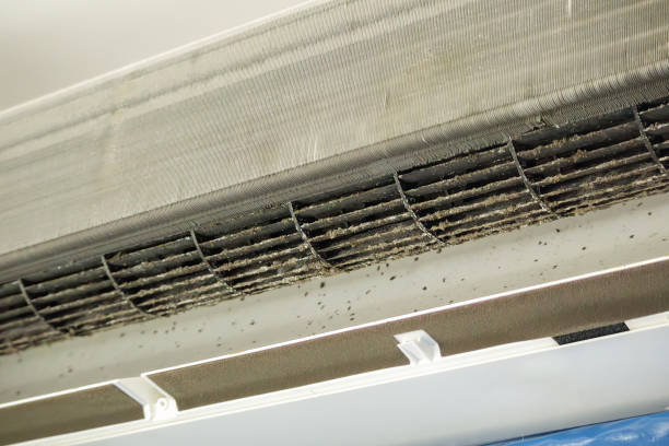 Best Dryer Vent Cleaning Services  in Whitmore Lake, MI